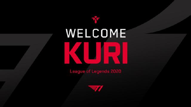 由双后腰灵 由双后腰灵