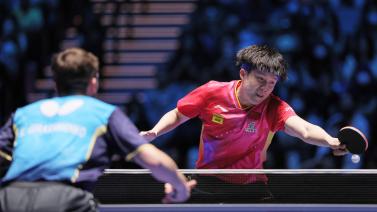 中展现稳健 中展现稳健